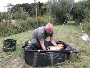 lac-de-missy-willow-lake-carp-fishing-37